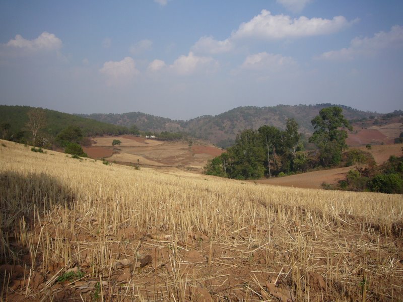 Travel - Myanmar - Kalaw Shan - From Kalaw to the Village